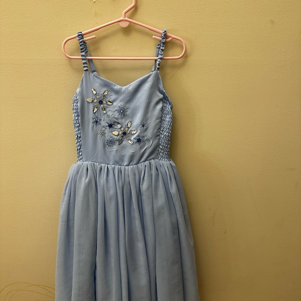 Beautiful Disney Else Dress